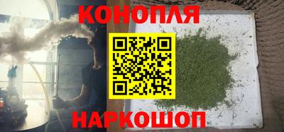 прущие грибы Ставрополь