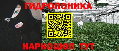 стафф Заводоуковск