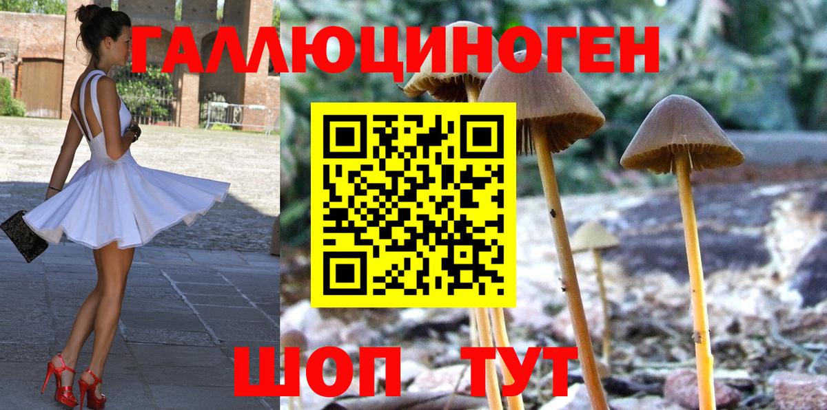 Псилоцибиновые грибы Psilocybe  Вход с VPN  где найти   Усть-Джегута  Псилоцибиновые грибы Psilocybe 