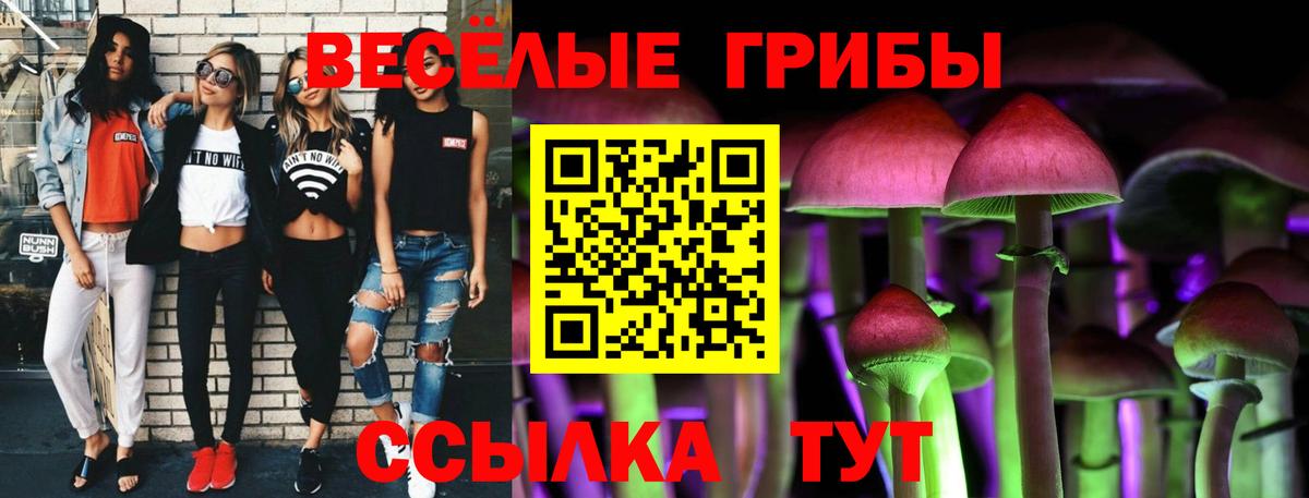 Псилоцибиновые грибы MAGIC MUSHROOMS Усть-Джегута